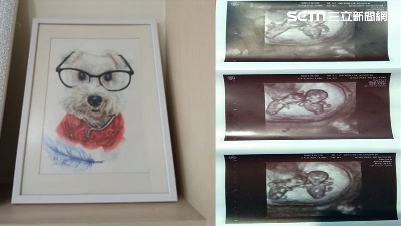 獨／蛇爬來…亡犬狂吠保護　她生下祂