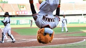 統一獅吉祥物萊恩和魚頭軍表演。（圖／統一獅提供）