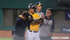 ▲中信兄弟林智勝骨折。（圖／記者劉彥池攝影）