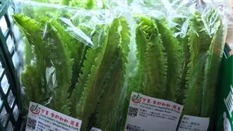 全聯驚見「特別蔬菜」　網授神級煮法