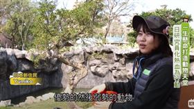 第一位主角是一位很特別的日本女孩，她參與過新竹市立動物園的改造計畫，打造動物的快樂天堂，她的名字是Yumiko，岡元友實子。當年還寫了一封中文親筆信給新竹市長林智堅跨海來求職，希望讓新竹市立動物園變成全世界最能讓孩子充滿夢想的園地。如今3年過去了，Yumiko蒐集不少國際資料，也提供專業意見，還把愛化為行動，研究水獺。希望用一己之力保護動物們，在這個沒有柵欄的園區裡自在優游。