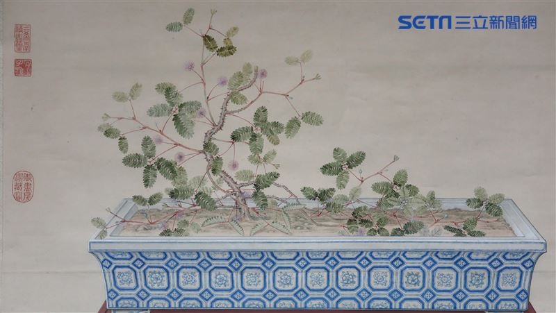 乾隆皇帝初見「奇特植物」　詩興大發