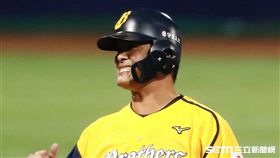 ▲中信兄弟林智勝。（圖／記者林聖凱攝影）