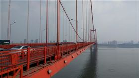 武漢鸚鵡洲大橋（圖／翻攝自Google Maps）