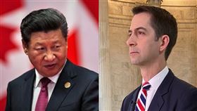 習近平、美國參議員Tom Cotton