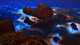 ▲馬祖藍眼淚（圖／東莒船老大民宿提供）