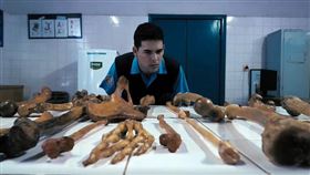 《現屍報》（圖／可樂電影提供）