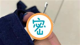 黃斑椿象,內衣,珍珠,蟲卵(翻攝自 爆怨公社)