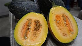 友旺南瓜抗病毒富含營養素　有助增加抵抗力花蓮農改場與亞蔬–世界蔬菜中心合作的南瓜品種「花蓮亞蔬2號-友旺」，具耐熱、抗病毒且產量高，口感鬆甜、黏Q，富含維生素A與β-胡蘿蔔素，有助增強抵抗力及有益眼睛健康。中央社記者李先鳳攝　109年4月28日