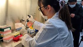 基因檢測,新冠肺炎,生技大廠,檢測試劑,中研院