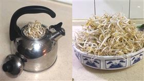 她用「水壺」種出白白胖胖豆芽菜 成功秘訣只有一個（圖／翻攝自我愛全聯-好物老實説）