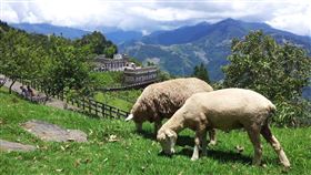 ▲國內旅遊景點（圖／可樂旅遊提供）