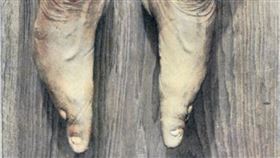 古代,宮廷,嬪妃,纏足,小腳。(圖/翻攝自維基百科由 Albert Friedenthal - Das Weib im leben der Völker; page 426, 公有領域, https://commons.wikimedia.org/w/index.php?curid=1895726)