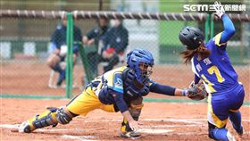 「台灣企業女子壘球聯賽」／翻攝畫面