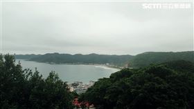 新北市，武漢肺炎，居家檢疫，新加坡，風光明媚