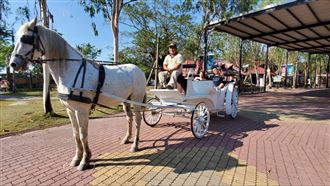 頑皮世界被封評價最頂遊樂園！麗寶也惜敗