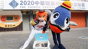 ▲魚頭君自備台南海鮮「吳郭魚」、「牡蠣」、「白蝦」、「虱目魚肚」幫統一獅吉祥物萊恩「補一下」。（圖／統一獅隊提供）