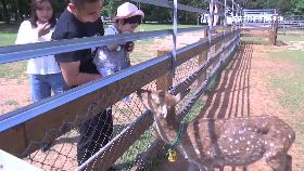 疫緩戶外.玩2400