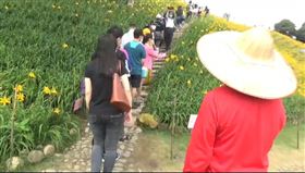 彰化虎山巖五一連假！驚見爆滿賞花人潮!。（圖／翻攝畫面）