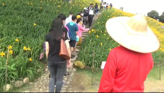 五一連假第1天！彰化虎山巖爆賞花潮