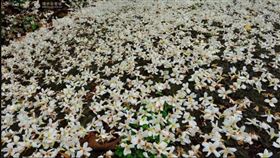 名家專用／網路溫度計（勿用）