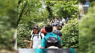 抹茶山又爆人潮！爬山客：像逛菜市場