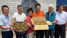 疫情衝擊　恆春玉荷包首批拍賣價慘跌屏東恆春鎮玉荷包荔枝全台最早採收，首批玉荷包送台北拍賣，受武漢肺炎疫情衝擊，農民原希望能拍出平均每公斤400元，沒想到竟拍出近年最低均價315元。（屏東縣政府提供）中央社記者郭芷瑄傳真　109年5月1日