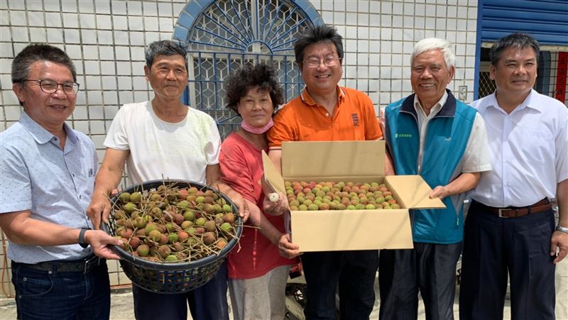 疫情衝擊　恆春玉荷包首批拍賣價慘跌