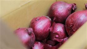  0501 指揮中心提供 CDC 洋蔥 大西瓜

中央流行疫情指揮中心 張上淳 專家諮詢小組召集人
中央流行疫情指揮中心 陳時中 指揮官
中央流行疫情指揮中心 陳宗彥 副指揮官

中央流行疫情指揮中心 莊人祥 發言人
中央流行疫情指揮中心 周志浩 疫情監測組組長