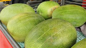 屏東縣府鼓勵加工與團購　行銷在地大西瓜屏東縣政府1日指出，屏東雖是台灣第5大西瓜產區，但為平衡鮮果市場到貨量，縣府積極配合政策穩定國內市場，加強行銷屏東縣產西瓜，除鼓勵加工廠進場收購，產地農民團體則鼓勵以團購方式積極行銷。中央社記者郭芷瑄攝　109年5月1日