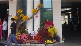 員林火車站前花藝擺設　推廣國產花卉武漢肺炎疫情衝擊台灣花卉外銷市場，農委會農糧署和彰化縣政府在員林火車站前布置花卉裝置藝術，歡迎民眾來拍照打卡，趁勢推廣國產花卉。中央社記者吳哲豪彰化攝　109年5月1日