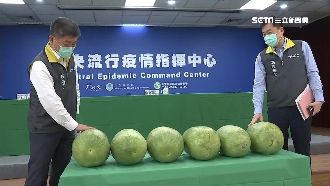 慶0確診　陳時中萌敲西瓜：這顆會甜