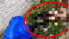 水溝有「無頭女裸屍」　她驚：小腿只剩乾骨頭…警現場傻眼（圖／翻攝自微博）