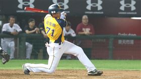 中信兄弟杜家明。（圖／中信兄弟提供）
