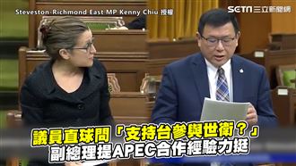 副總理提合作經驗　力挺台參與世衛