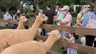 空曠少群聚　《埔心牧場》防疫措施足