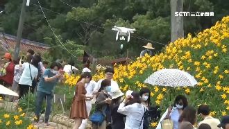 新噱頭！花海派空拍機提醒社交距離