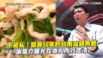 台南汕頭魚麵　龍介仙曝光在地人吃法