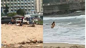 新北市,萬里,金山分局,活春宮,四腳獸