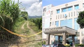 東勢,台中,雞農,殺人,砍殺,羈押