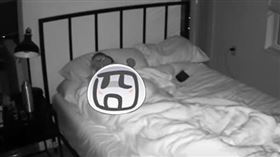 監視器　睡覺　貓咪（圖／翻攝自RegalPlatypus）