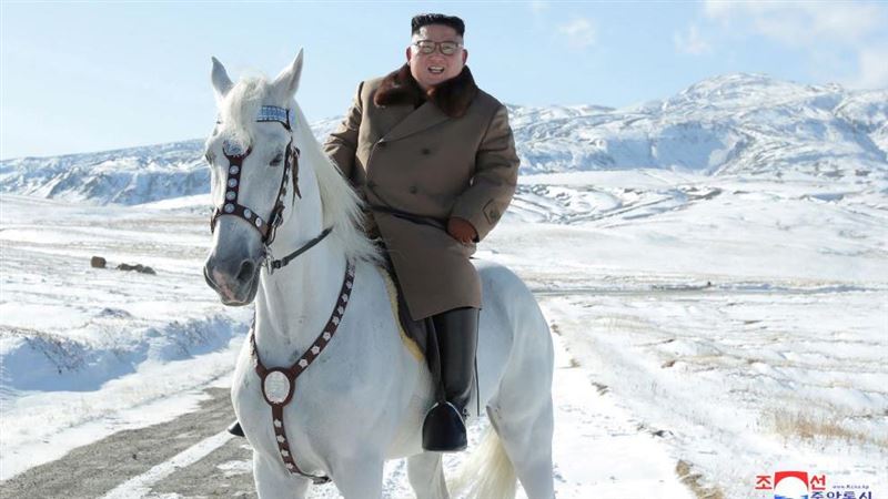 金正恩為何消失　專家：最黑箱的秘密