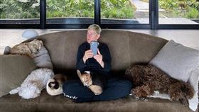 艾倫狄珍妮（圖／翻攝自portiaderossi IG）