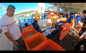 屏東,恆春,白帶魚,白金