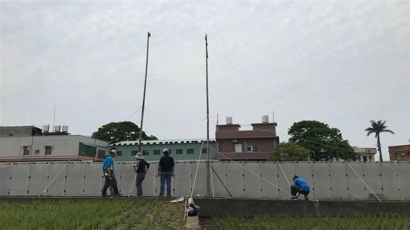 鳥兒不要來！桃園機場鳥擊數年減4成