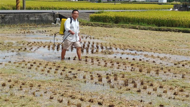 別再燒稻草　苗縣開放登記液態分解菌
