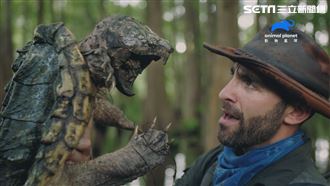 影／找傳奇巨鱷龜　竟險成短吻鱷大餐