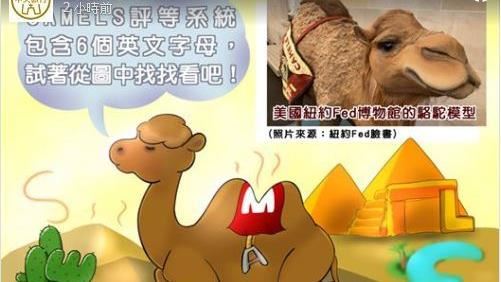 金融圈駱駝是什麼來頭　央行報你知