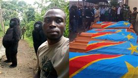 拍出猩猩哏圖　13保育員遇叛軍慘死
非洲,剛果,維龍加國家公園,猩猩,保育,叛軍,盧安達,自拍
翻攝自臉書粉絲團 The Elite AntiPoaching Units And Combat Trackers.