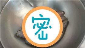 那個魚,東港,魚販,小鰭鐮齒魚(翻攝自 爆怨公社)